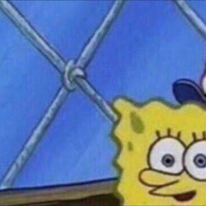 Meet your Posher, Harriet